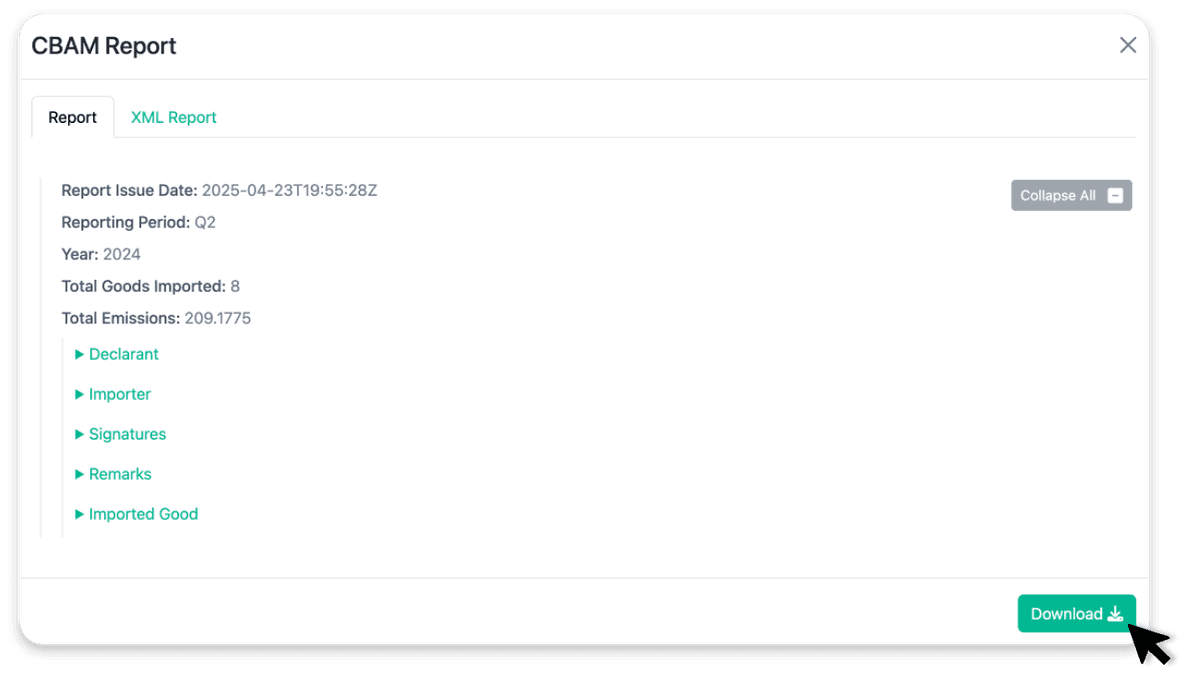 Customs & Compliance illustration